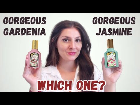A que huele Gardenia Jasmine of Cashmere: Análisis de la fragancia de pH Fragrances